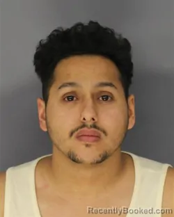 Mugshot of ANAS Y SHARHAN