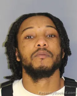 Mugshot of ROLSTON A NELSON