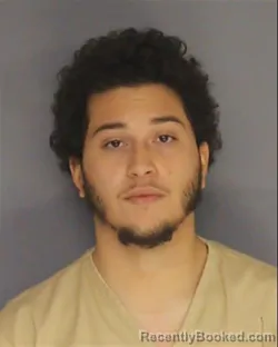 Mugshot of JEFFREY PEREZ