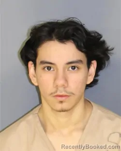 Mugshot of XANDER PEREZ