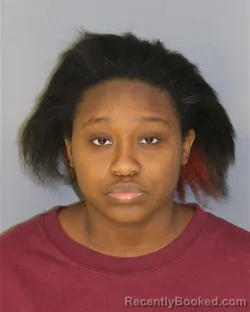 Booking photo from Essex County, New Jersey