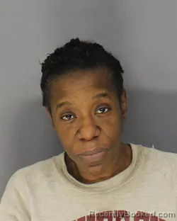 Mugshot of DANICA S MILLER