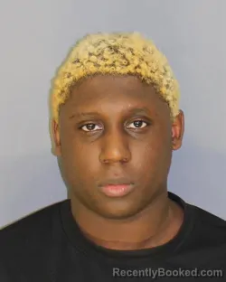Booking photo from Essex County, New Jersey