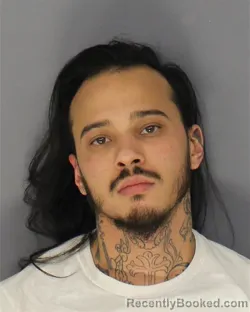 Mugshot of ANTHONY MORETTI