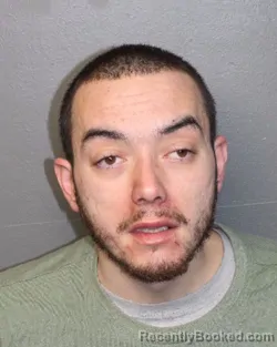 Mugshot of MICHAEL FERRULLO