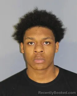 Mugshot of EMARI STARR