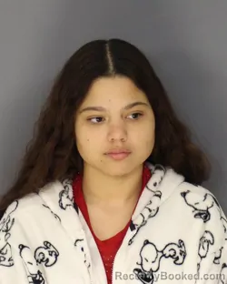 Mugshot of ANALUIZA ARAUJO