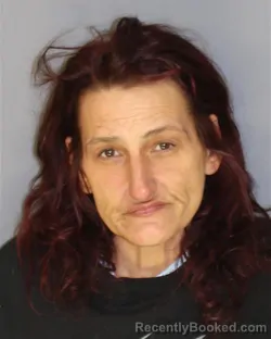 Mugshot of LEEANN M WITT