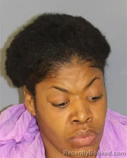 Mugshot of NINA Y WALLACE