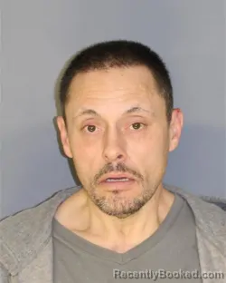 Mugshot of ROBERT S HODGES