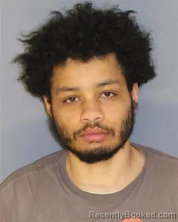 Mugshot of TAJUDINN BOSEMAN