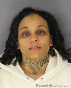 Mugshot of KIMBERLY M HADLEY