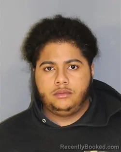 Mugshot of RUY RUIZPEREZ