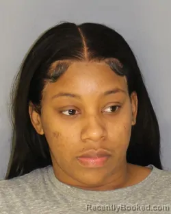 Mugshot of DEMIRAH S WILLIAMS