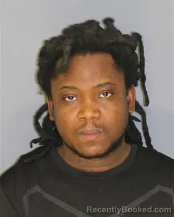 Mugshot of RODNEY BERTHIEU