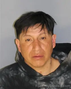 Mugshot of JOSE FLORES