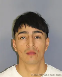Mugshot of JAIRO ALTAMIRANAM