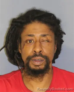 Mugshot of RONNIE R TOLBET