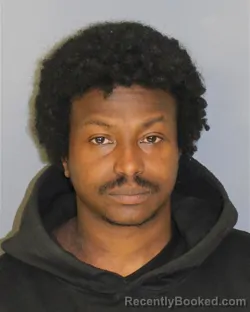 Mugshot of NATHANIEL MEADE booked in Essex County, New Jersey on March 9, 2026