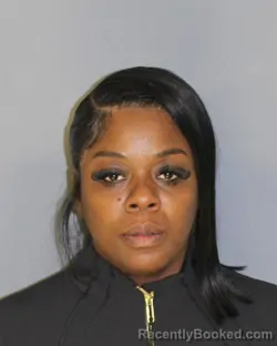 Mugshot of JULIANNE R FERNANDEZ LEWIN booked in Essex County, New Jersey on March 10, 2026