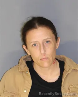 Mugshot of TRACI L MROZINSKI