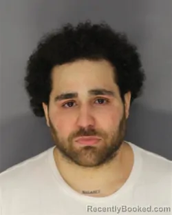 Mugshot of RAYMOND ULLOA