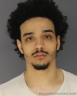 Mugshot of BRADI R NUNEZ booked in Essex County, New Jersey on March 12, 2026