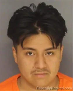 Mugshot of KEVIN MENA booked in Essex County, New Jersey on March 12, 2026