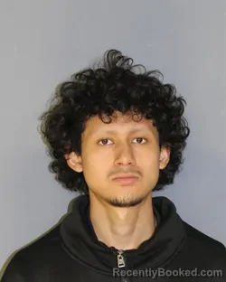 Mugshot of FRANKY J MILLA-HENRIQUEZ booked in Essex County, New Jersey on March 14, 2026