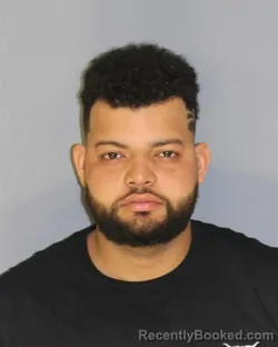 Mugshot of WELLINGTON CARVALHOANDRADE booked in Essex County, New Jersey on March 15, 2026