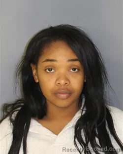 Mugshot of SHEYLOVE LEVINE-CONSERVE