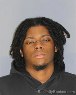 Mugshot of STEPHEN J ELVA