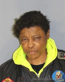 Mugshot of LEA D LIM booked in Essex County, New Jersey on March 16, 2026