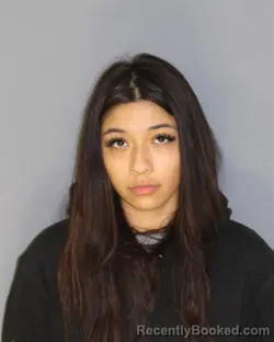 Mugshot of BRIDGETTE LOPEZ booked in Essex County, New Jersey on March 16, 2026