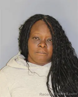 Mugshot of ERICA LYNN