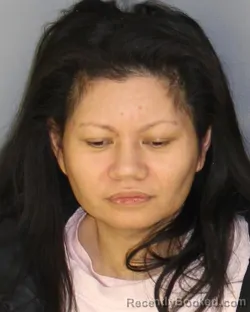 Mugshot of JOHANNA R TAN booked in Essex County, New Jersey on March 17, 2026