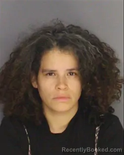 Mugshot of LYDIA N GARCIA booked in Essex County, New Jersey on March 18, 2026