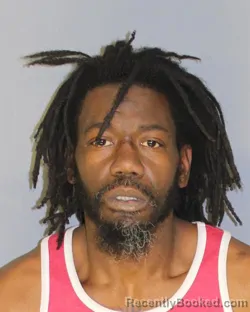 Mugshot of Ameer H Brown