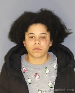 Mugshot of PATRICIA GARCIA booked in Essex County, New Jersey on March 18, 2026