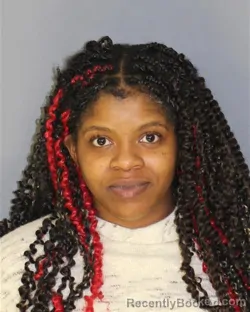 Mugshot of ALNESA K BROWN-MARROW booked in Essex County, New Jersey on March 19, 2026