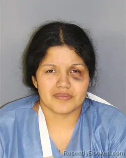 Mugshot of JOHANNA E JOSE RODRIGUEZ booked in Essex County, New Jersey on March 19, 2026