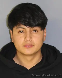 Mugshot of DARWIN J TOAQUIZAVELA booked in Essex County, New Jersey on March 20, 2026