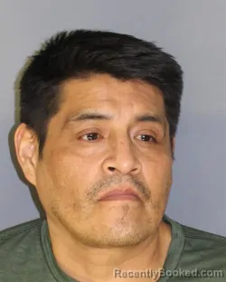 Mugshot of ALEX P TUTASI booked in Essex County, New Jersey on March 20, 2026