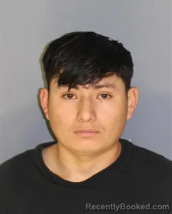 Mugshot of RUDY HERNANDEZ booked in Essex County, New Jersey on March 21, 2026