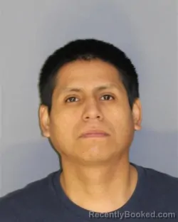 Mugshot of IVAN P ZAMORASAILEMA booked in Essex County, New Jersey on March 22, 2026