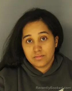 Mugshot of ANA G MEJIA-FERNANDEZ booked in Essex County, New Jersey on March 22, 2026