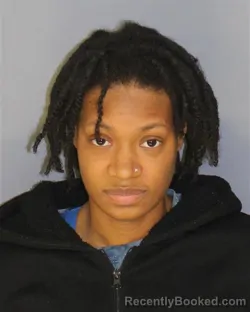 Mugshot of DIAMONTING D ASKINS booked in Essex County, New Jersey on March 23, 2026