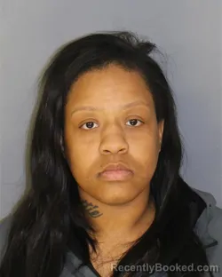 Mugshot of DESTINI R JACOBS booked in Essex County, New Jersey on March 24, 2026