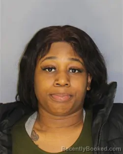 Mugshot of ASHLEY E PIERRE booked in Essex County, New Jersey on March 24, 2026