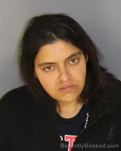 Mugshot of STEPHANIE TENE booked in Essex County, New Jersey on March 25, 2026